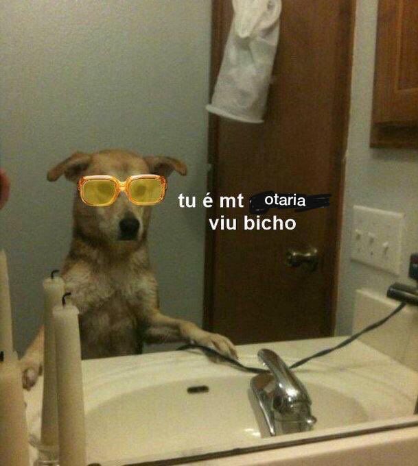 (autocrítica)