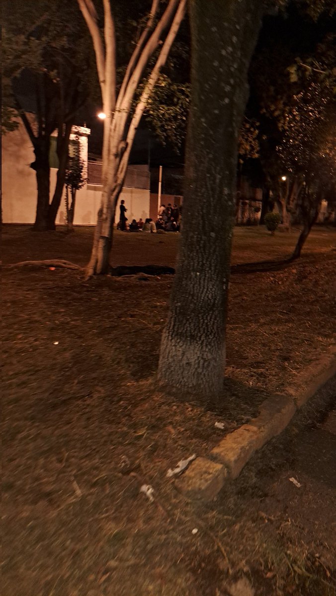 andreachidisima's tweet photo. Hay muchos menores de edad consumiendo bebidas alcohólicas diariamente en el camellon de amacuzac y Taxqueña. Dónde , por cierto, no hay alumbrado adecuado. Agradecería nos apoyaran con seguridad para ellos y para los residentes. @SSC_CDMX @UCS_GCDMX https://t.co/yDAV6DkGMU