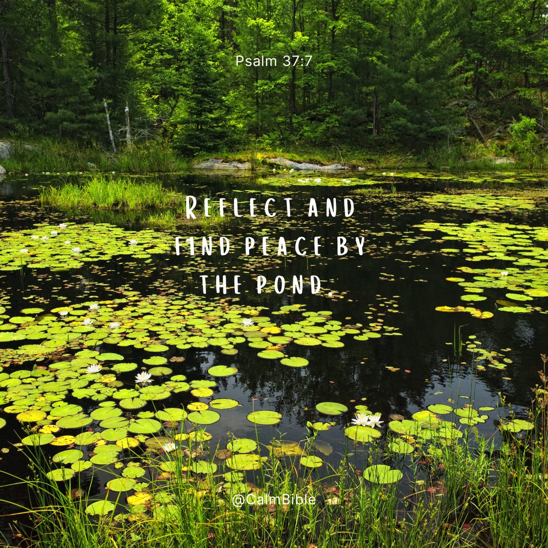 CalmBible's tweet image. In the stillness of the pond, find reflection and peace. 🌼🌿 #PondReflection #InnerPeace #CalmBibleVerse

&quot;Be still before the Lord and wait patiently for him.&quot; - Psalm 37:7