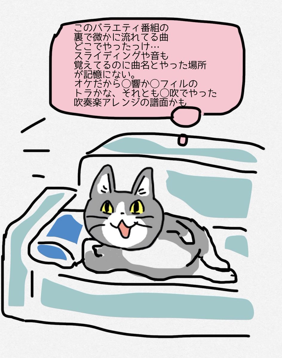 曲は耳が覚えてるけど、曲名や演奏した本番などの具体的な記憶が無い。
(ポテトチップスの袋とか持たせたかったけど寝そべった猫のフォルムがわりと気に入ったので間食は諦めてもらいました) 