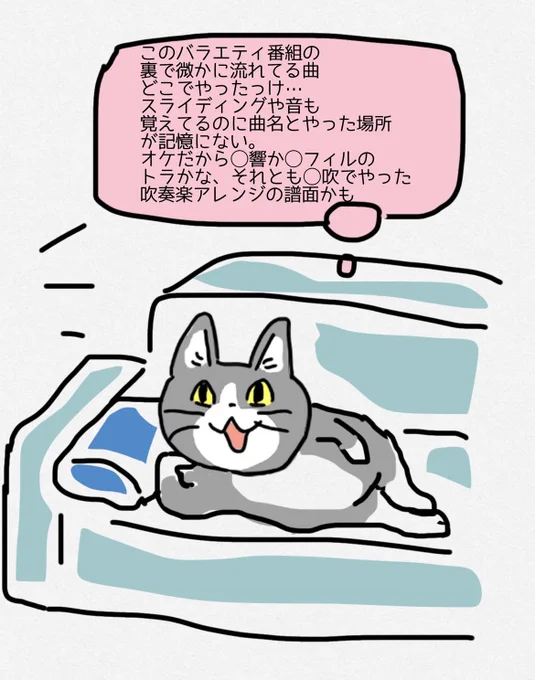 曲は耳が覚えてるけど、曲名や演奏した本番などの具体的な記憶が無い。
(ポテトチップスの袋とか持たせたかったけど寝そべった猫のフォルムがわりと気に入ったので間食は諦めてもらいました) 