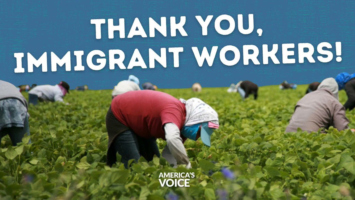 The Thanksgiving meals that we are preparing for tonight would not be possible without the immigrant workers that harvested, picked, packaged and helped get them to our tables.

Thank you, immigrant workers! #Thanksgiving #WeFeedYou