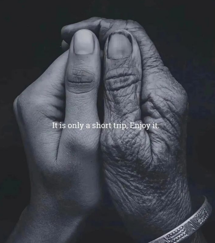 Mindful Maven tweet media