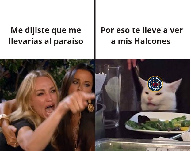 HalconesFC_Of's tweet photo. Ver a mis Halcones es como estar en el mismísimo paraíso 🦅😍😏
#volandoAlto #DaleHalcones #SomosHalcones #futbolmexicano #LigaPremierMX https://t.co/RjTCKa379f