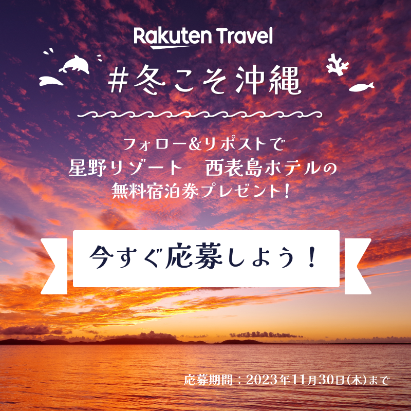 RakutenTravelJP's tweet photo. ／
冬こそ沖縄😎❄
沖縄離島旅キャンペーン第2弾✨
＼

「星野リゾート 西表島ホテル」の2泊分無料宿泊券が1組2名様に当たる🏖

応募の条件は、
1️⃣ @RakutenTravelJP をフォロー
2️⃣ このポストを「リポスト」

さらに #冬こそ沖縄 をつけて冬の沖縄で楽しみたいことをつぶやくと当選率UP💖

続く👇