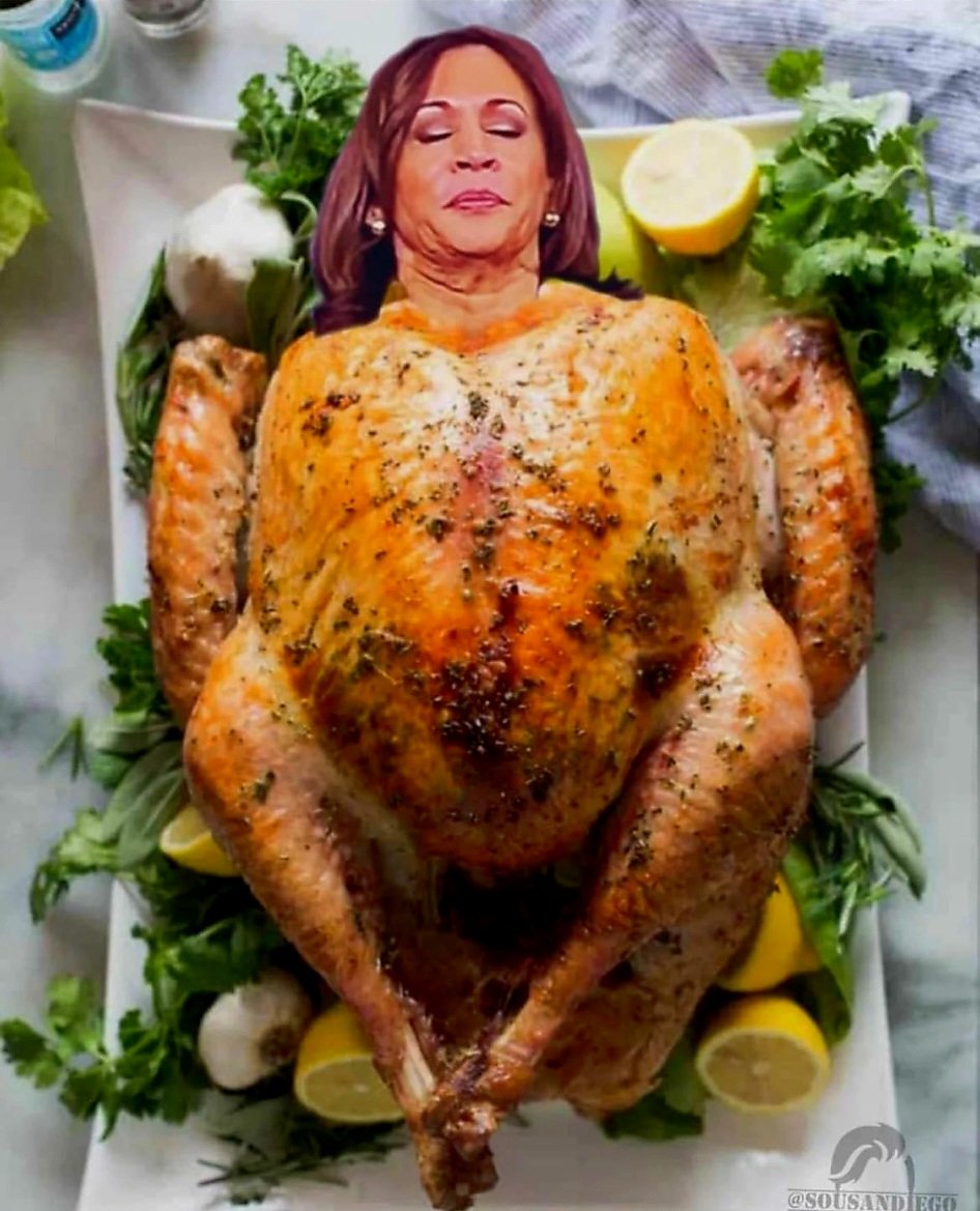 ☠️🤣🤣🤣 #KamalaHarris #TurkeyDay