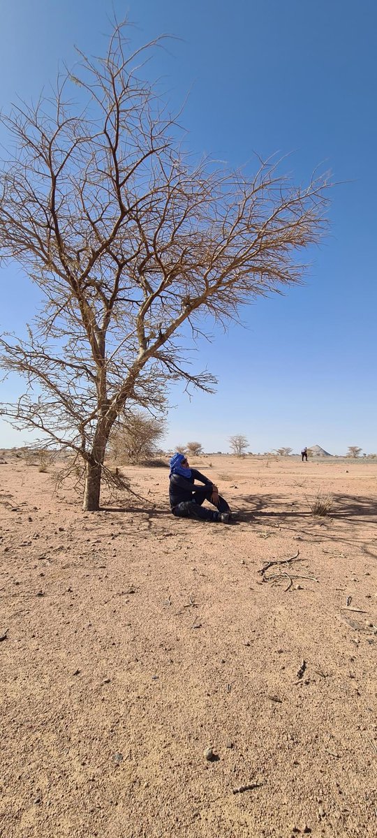 #exploration #explore #traveling #travel #lovewhatido #seetheworld #Mauritania #birmoghrein #town #tiriszemmourregion #stopping #trees #desert #saharadesert #photoopportunity #photoftheday #journey #emjeyhidat #convoy #breaktime