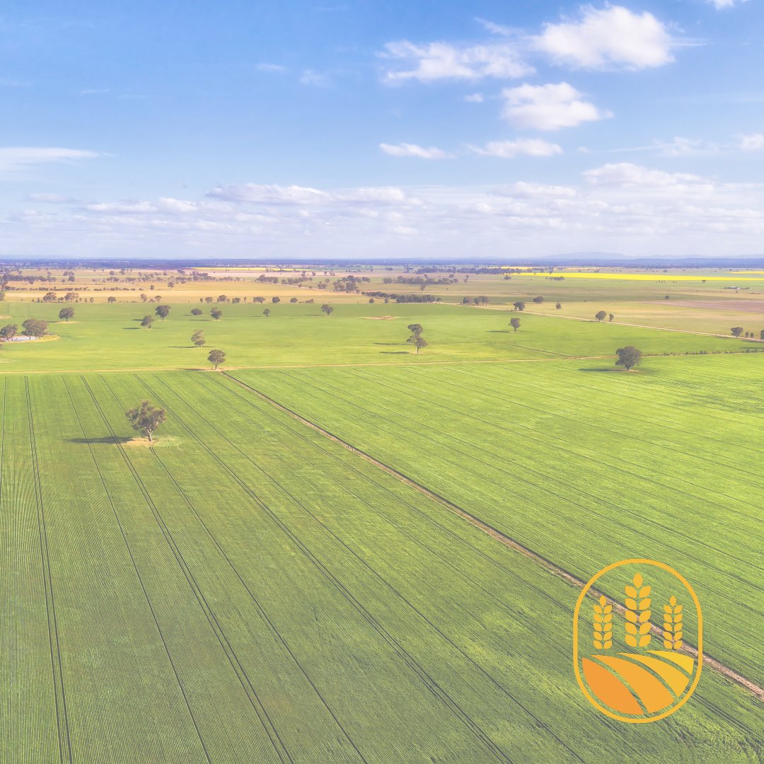 MetlanSolutions's tweet photo. 📆 Don't Wait, The Perfect Time is Now!

The key to a successful seeding program begins with the right preparations. Contact us today through the link in our bio and let's make this seeding season your best yet! https://t.co/qgwakmxJKI
