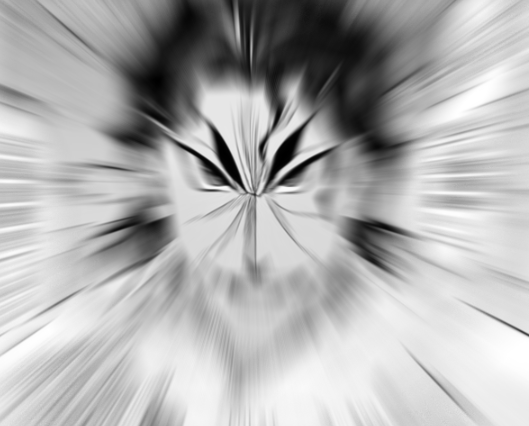 野生の虹村凶作が現れた！！