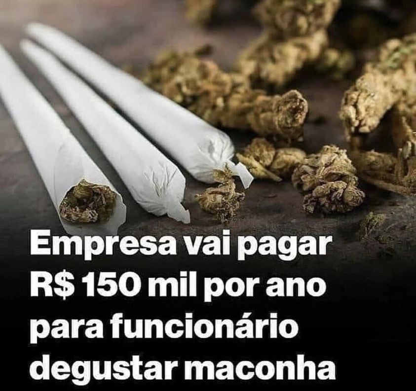ChapoDoChong's tweet photo. Alguém se interessa pela vaga?? https://t.co/PP1hdst8ge