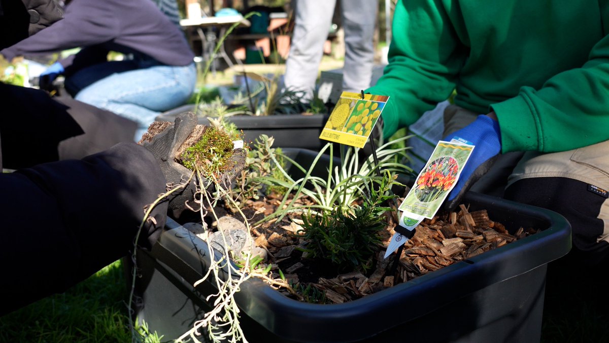 "One of the most important places for conservation is in your own backyard." Professor Wintle's research showed that tiny patches of native flora, especially within highly fragmented habitats such as suburbia, were more crucial to biodiversity than larger buff.ly/3QDi6ai