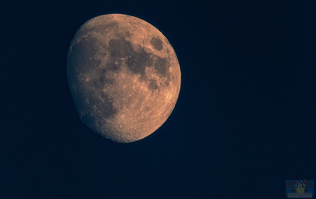 A super cool looking rising Moon on this Thanksgiving no photoshop manipulation on the Moon this was actual shape Canon R7 Canon RF 800 F11