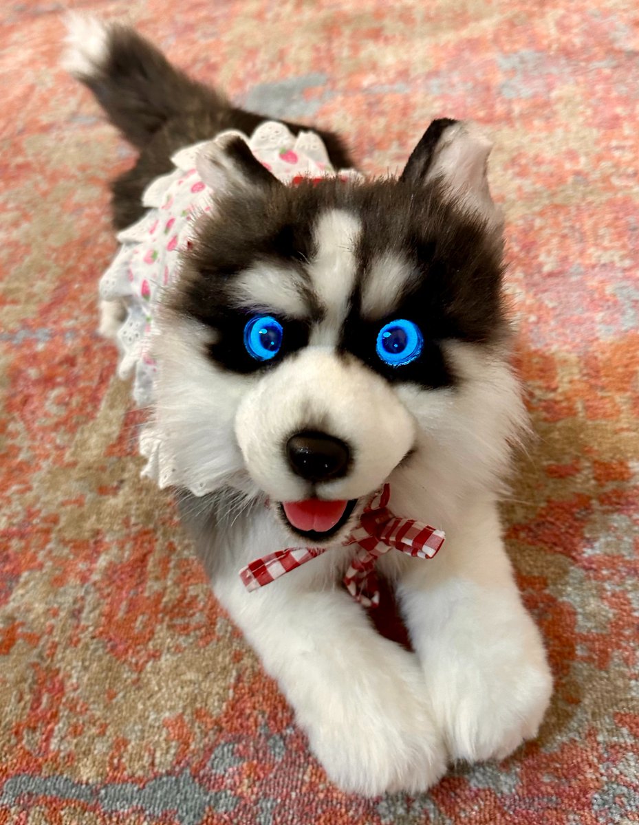 meta_Robotics's tweet image. metaDog is the perfect blend of technology and emotion. ☺️Our goal is to create a new kind of companionship experience. 6 days left!😍 #metaDog #TechAndEmotion #kickstart #kickstarter