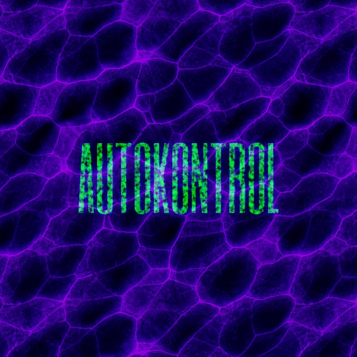 Autokontrol, the 3rd album from Gendered Dekonstruktion, is now out on Bandcamp. Featuring collaborations with dj genderfluid and Femin-XY.

wettrax.bandcamp.com/album/autokont…