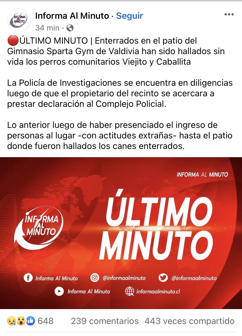 bevita's tweet photo. La PDI encontró recién los cuerpos de los perritos comunitarios que mataron en Valdivia. Poco le hicieron al csm y su local ayer https://t.co/xJ7hp6PWNf