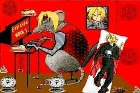 xKJxop's tweet photo. Me senti esse rato vendo 3 lives ao mesmo tempo pois curto todos https://t.co/lMTHratJOm