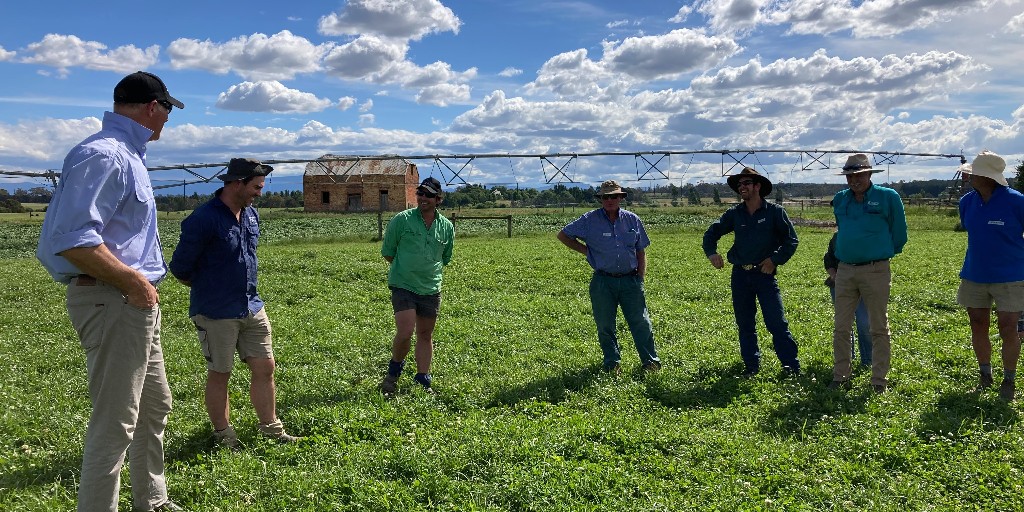 TasInAg's tweet photo. Is there anything better than a good chat in the paddock? ๐๐
Over 50 people attended our legume field days this week to hear the latest research for improving the productivity of their pastures. Read more: https://t.co/PYSq4aAU1p
@meatlivestock @DrRWSmith #FridayintheField https://t.co/mz6adJa5Ll
