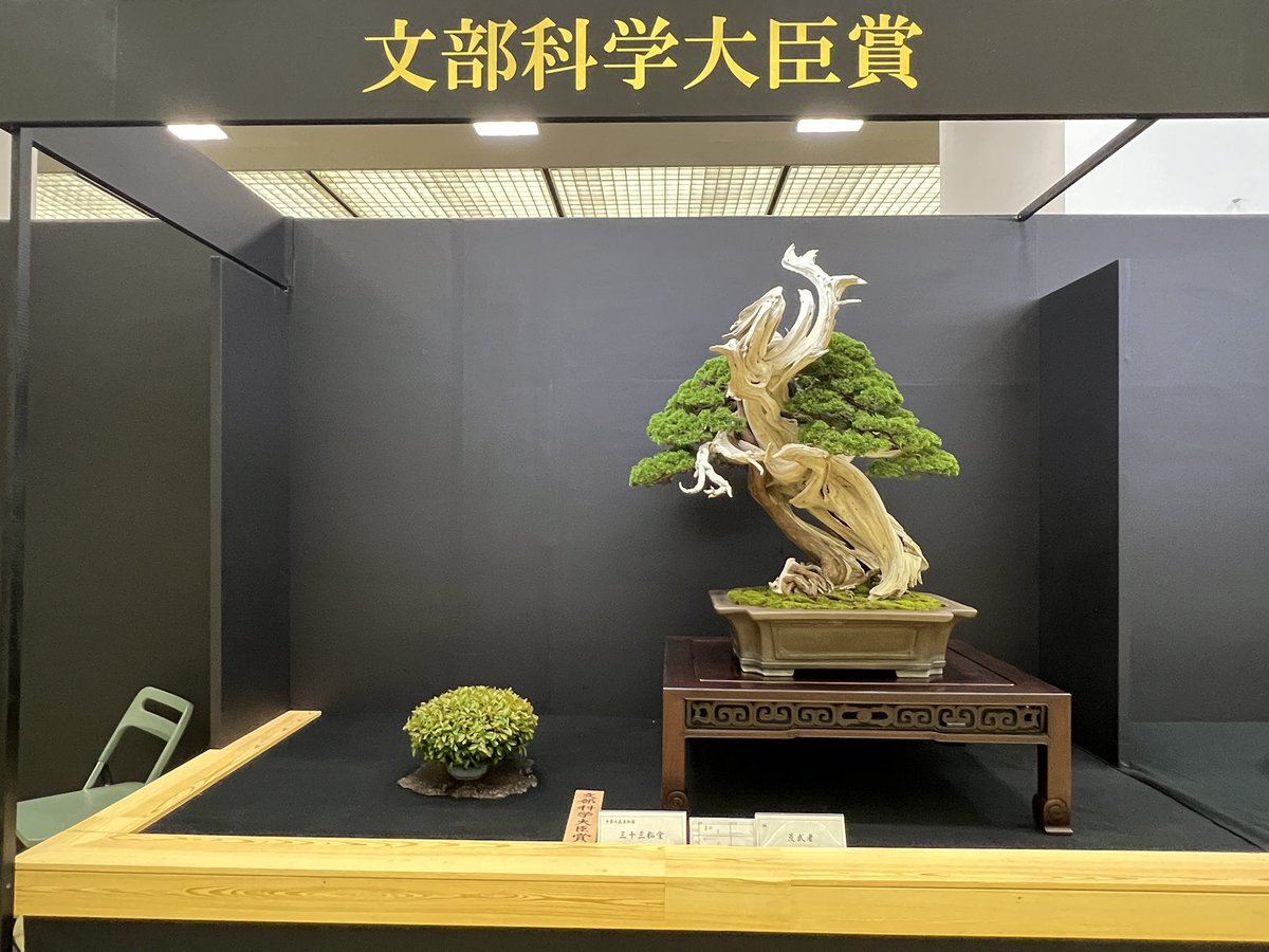 Bonsai_Kinone tweet picture