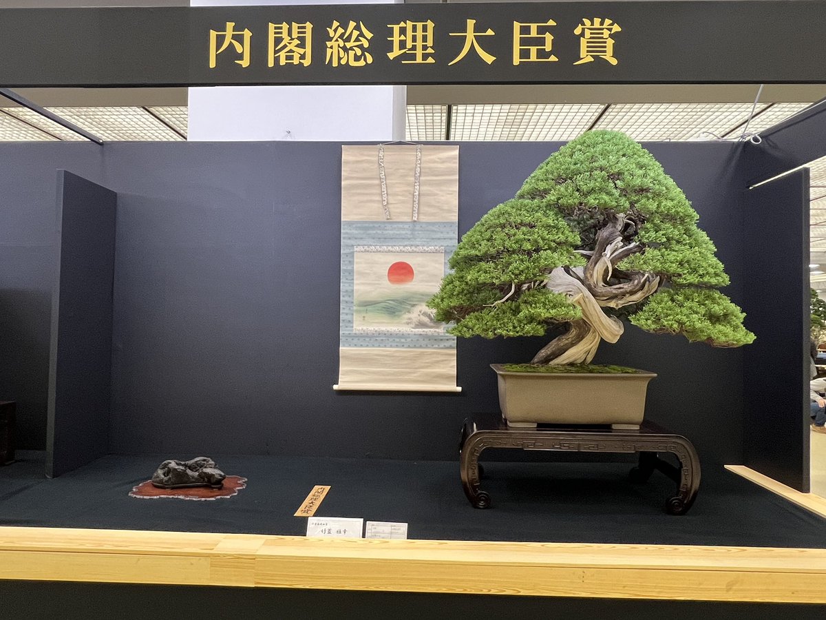 Bonsai_Kinone tweet picture