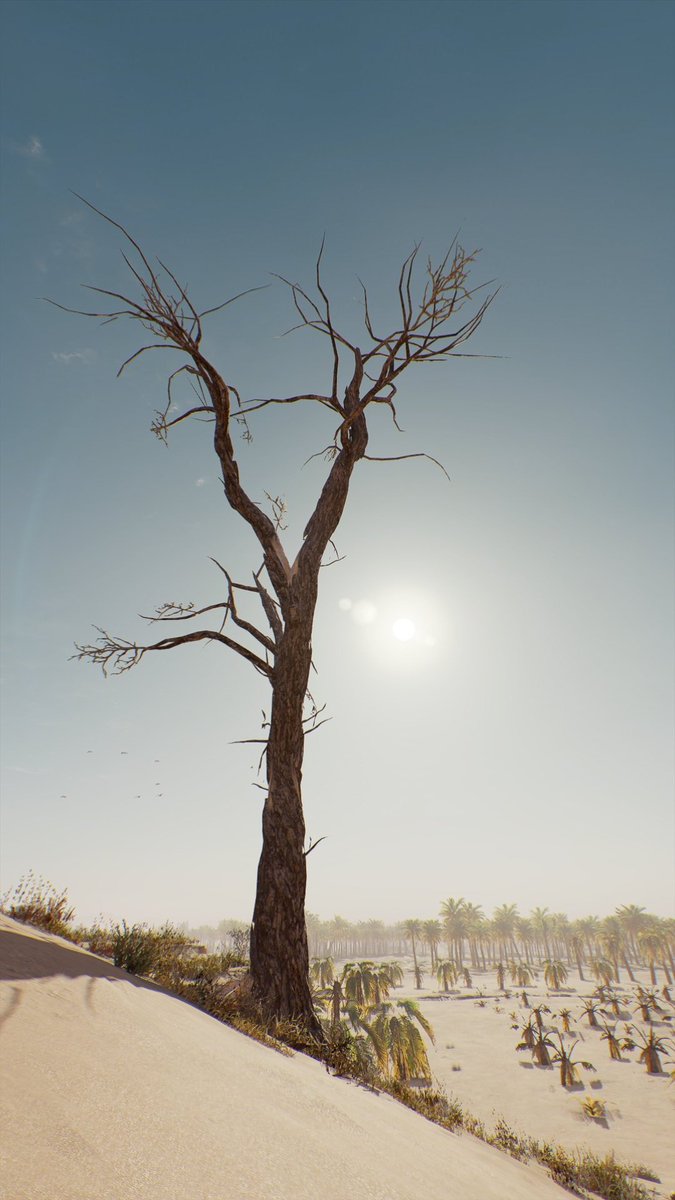 Arag0rn_9's tweet photo. The Wilderness 🦅
Game: #AssassinsCreedMirage
#ACPhotoMode #VPRT #AssassinsCreedMirage #BasimIbnIshaq #ArtistofSociety #VirtualPhotography #VGNetwork #ThePhotoMode #VPCONTEXT https://t.co/Mttp1eeEAo