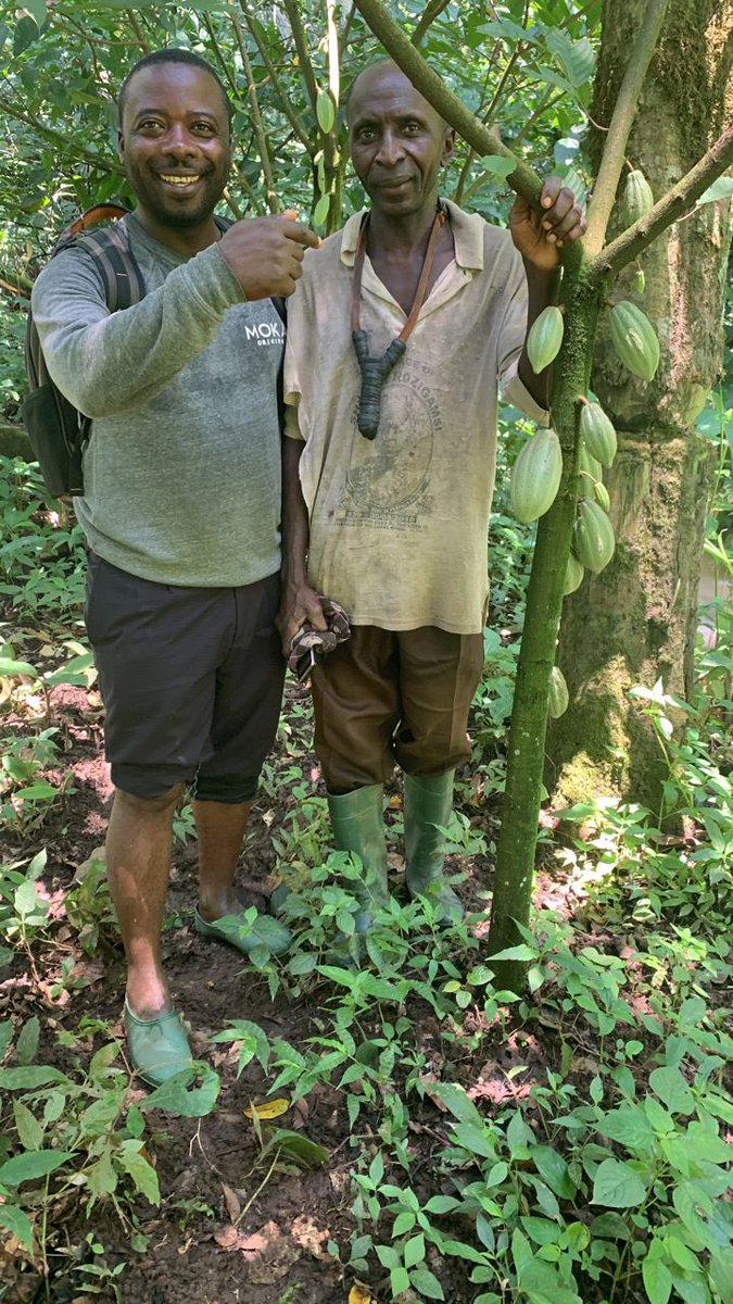 As we gather around our tables on this day of gratitude, we can't help but reflect on the incredible journey we've shared this past year. Today, we want to express our deepest thanks to you, our cherished customers, for being an integral part of the Moka Origins community.