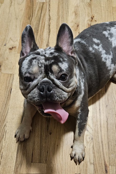 Say happy birthday to my sister 2yrs son https://t.co/pLnXJ77UbD