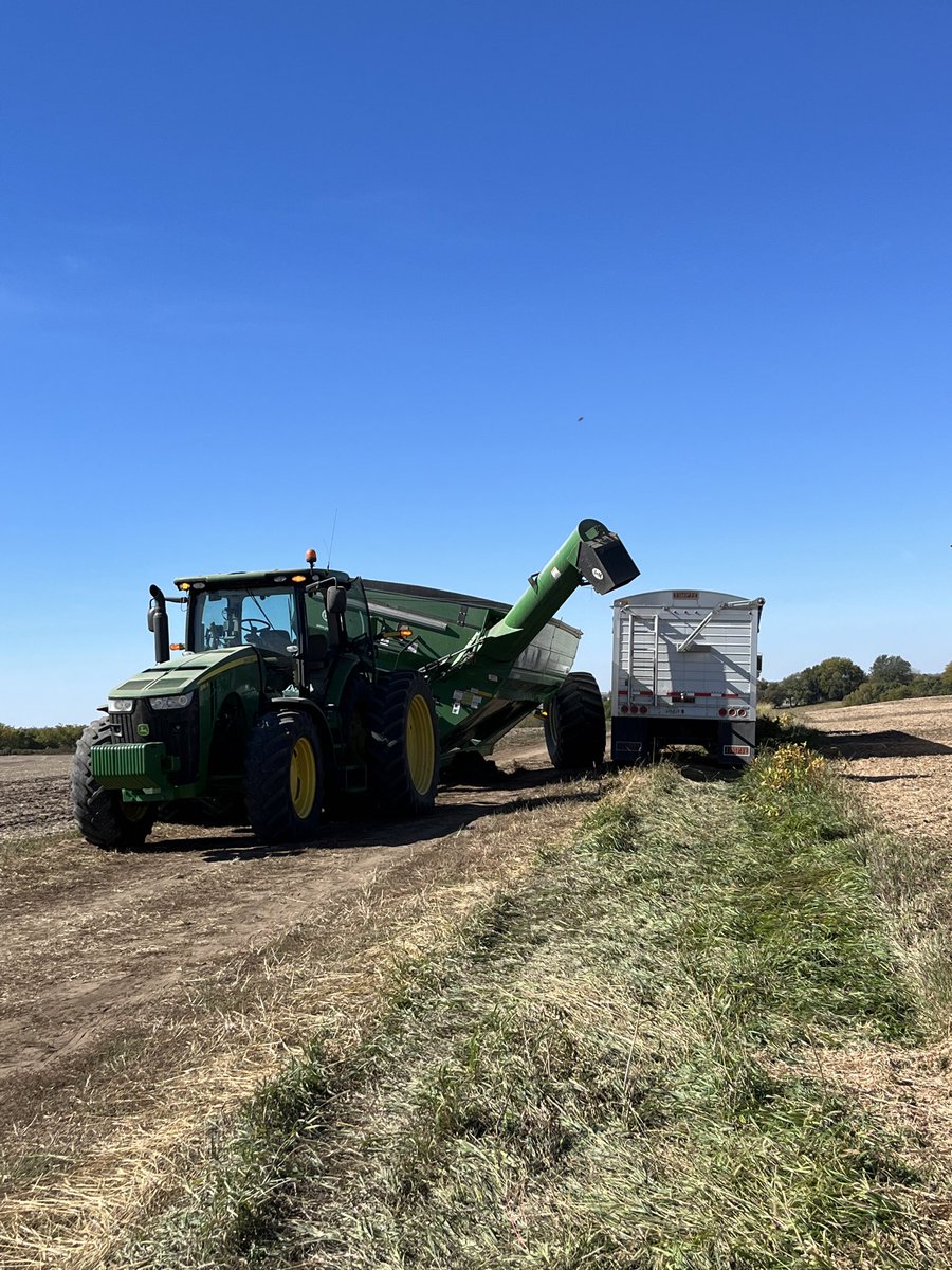 LukeRushAG's tweet photo. @farmerschneck Same thing on our J&amp;M this year 🤷🏻‍♂️ https://t.co/1RXCMtY6Yg
