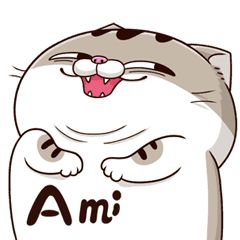 min_order's tweet photo. @Chainflip @MMai31439276 https://t.co/PcW5koVj5S