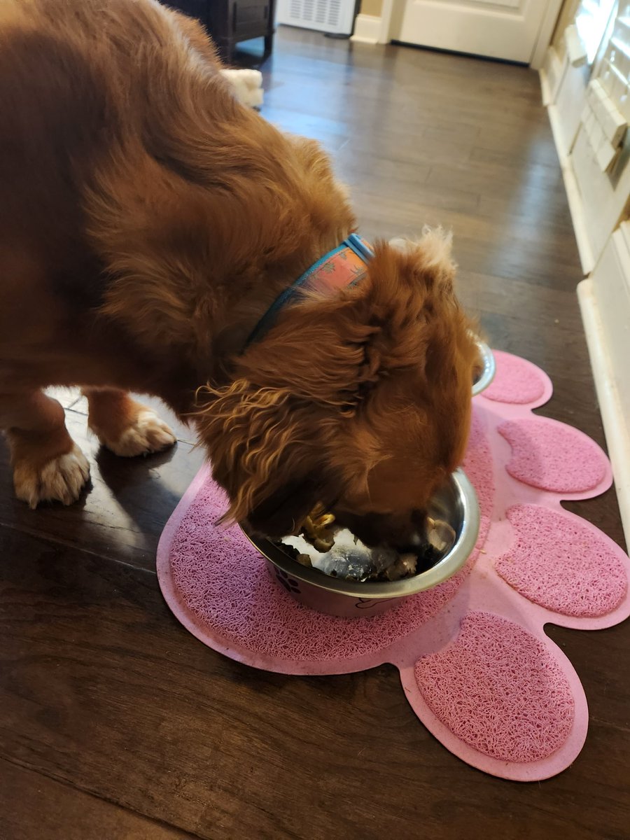 GrahamCrker's tweet photo. #HappyThanksgiving Remember to be thankful... especially for the food. 😋 https://t.co/N0qZnNlgLZ