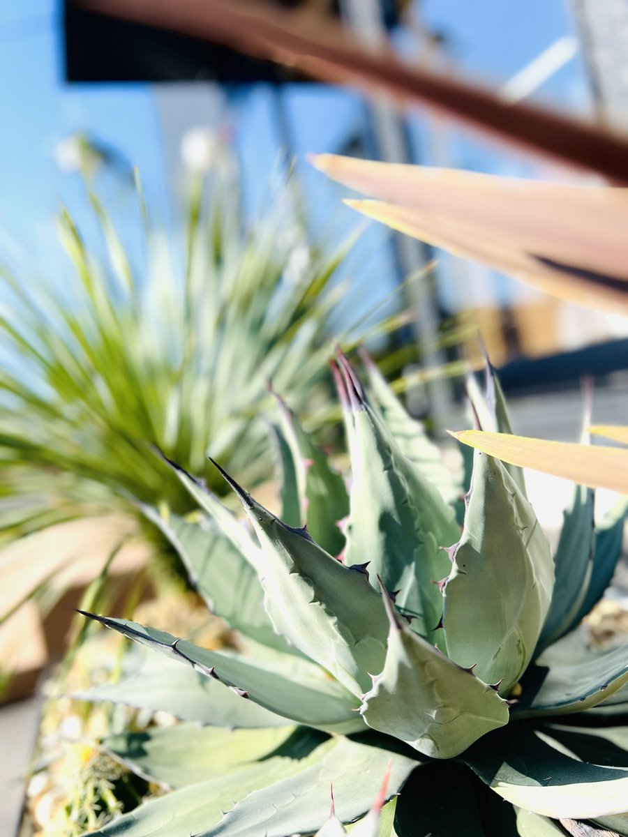 テラテクニカル株式会社 (@TeraTechnical) / Posts / X