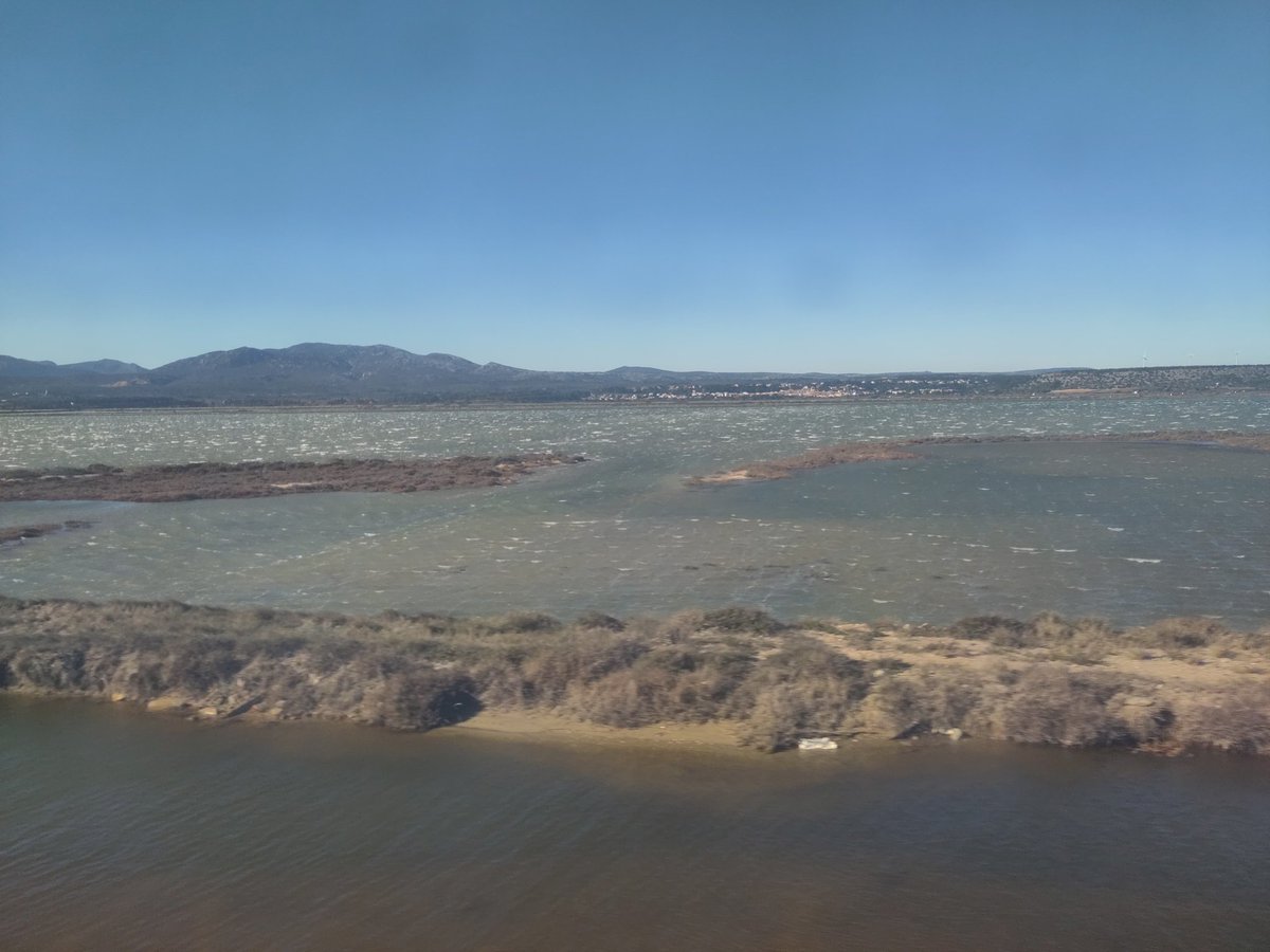 BrianCoffeeSpot's tweet photo. @_DiningCar @huskeecup @AmandaJoyO The views on the inland side were just as impressive, with small lakes and ponds interspersed with larger stretches of water. https://t.co/ZlQql3QGU4