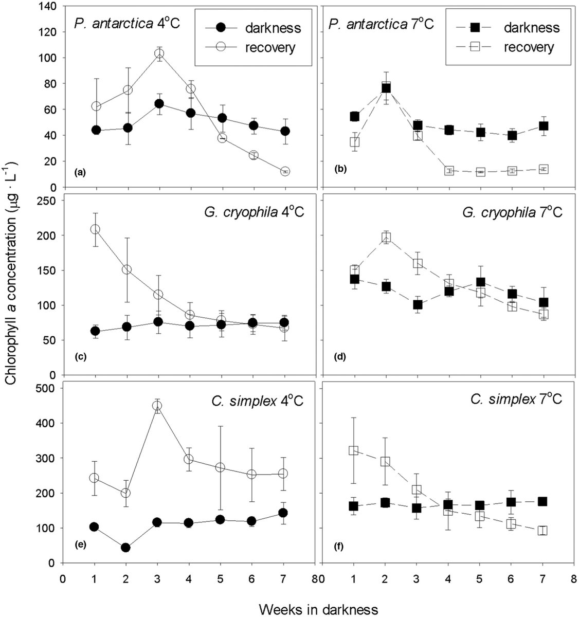 #JPhycol Vol 59 Issue 5 van de Poll &  Nassif (2023) The interacting effect of prolonged darkness and temperature on photophysiological characteristics of three Antarctic phytoplankton species doi.org/10.1111/jpy.13… @wileyplantsci @WileyEcolEvol @PSAAlgae