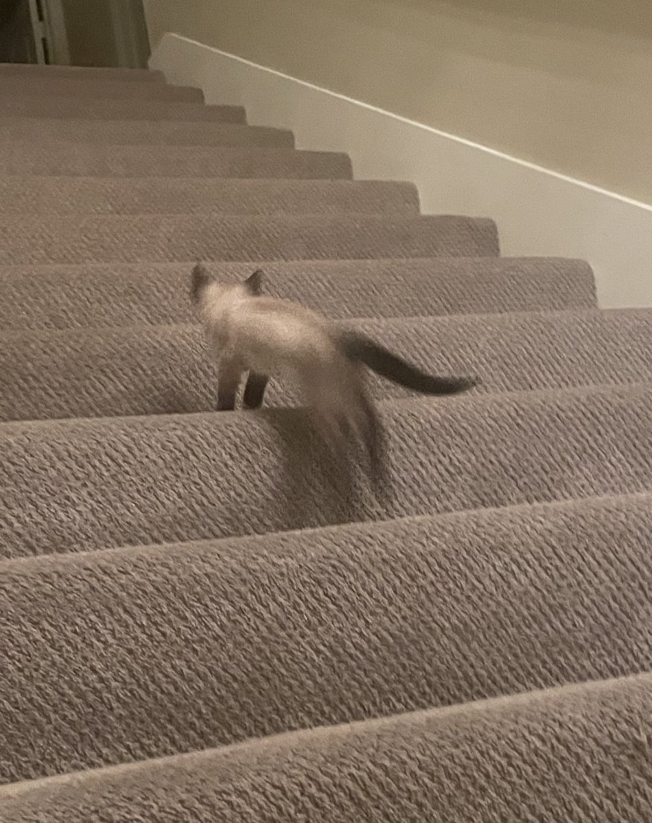 Blythe Melin tweet media