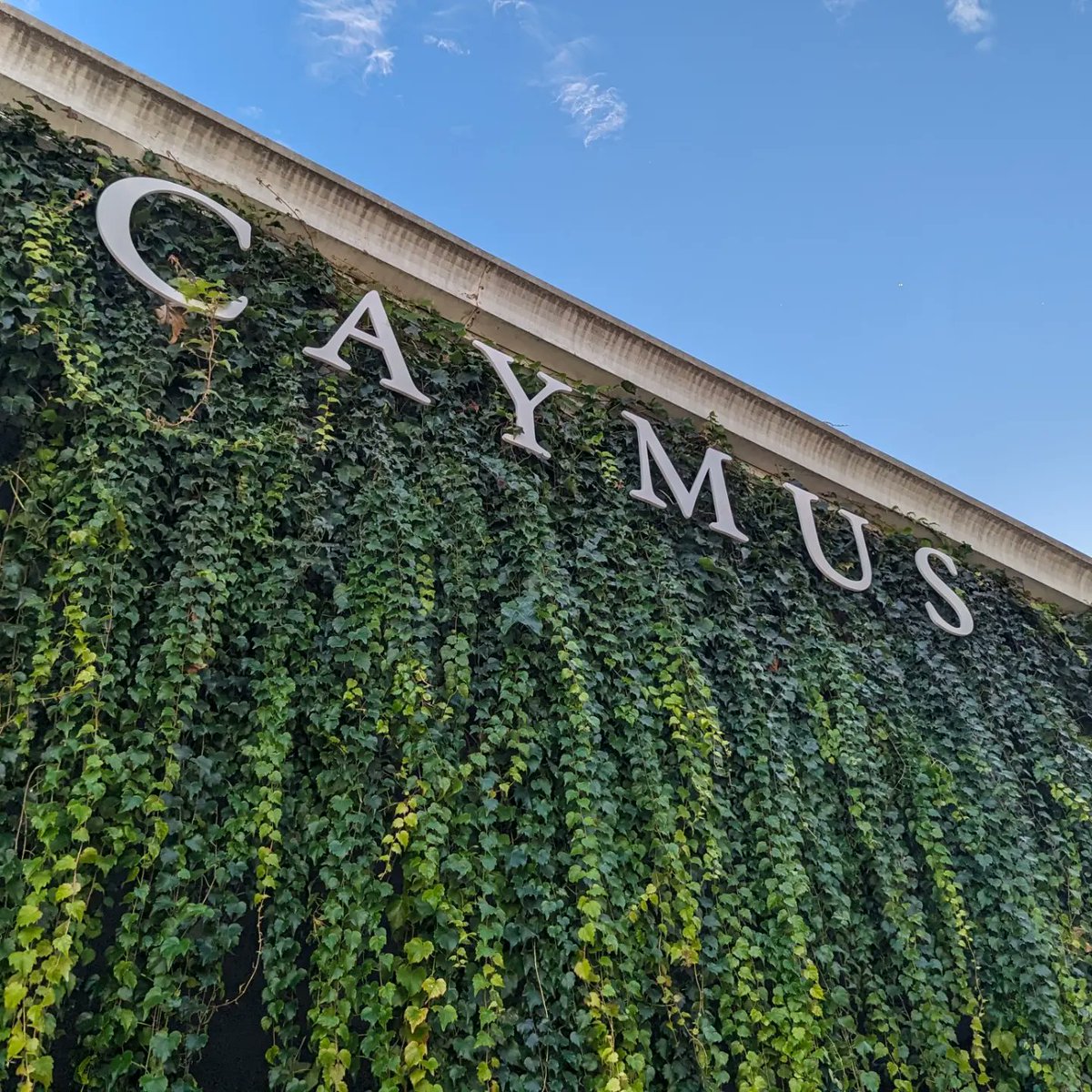 Beyond Lucid Tech tweet media