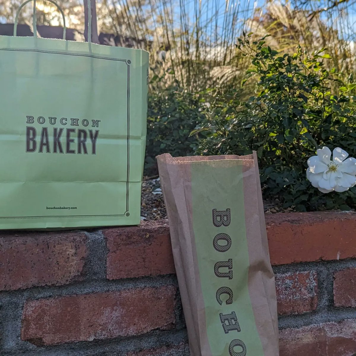 Beyond Lucid Tech tweet media