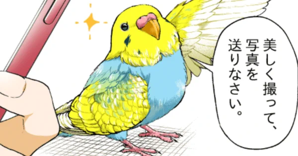 後輩いびりをした罰で #インコ に姿を変えられた先輩。罰を軽くしてもらえるようですが……。 初丸うげべそ  さんの「いじわる先輩、インコになった!?」まとめ読み更新です! #ヤメコミ #4コマ漫画 