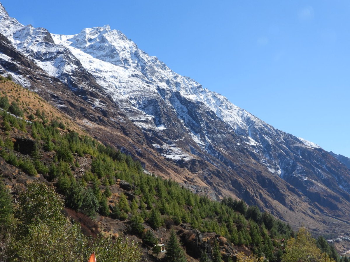 DrAmit_Nayak's tweet photo. Picturesque landscape of West Himalyan sub-alpine fir forest(14/C1a).
Elevation- 3170 m amsl
#temperateforest 
#uttarakhand #conifersofindia
#spruce #fir #bluepine https://t.co/jmyWUueeRI
