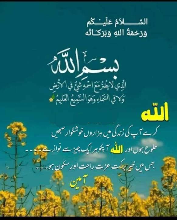 💚HANIYA 💚 tweet media