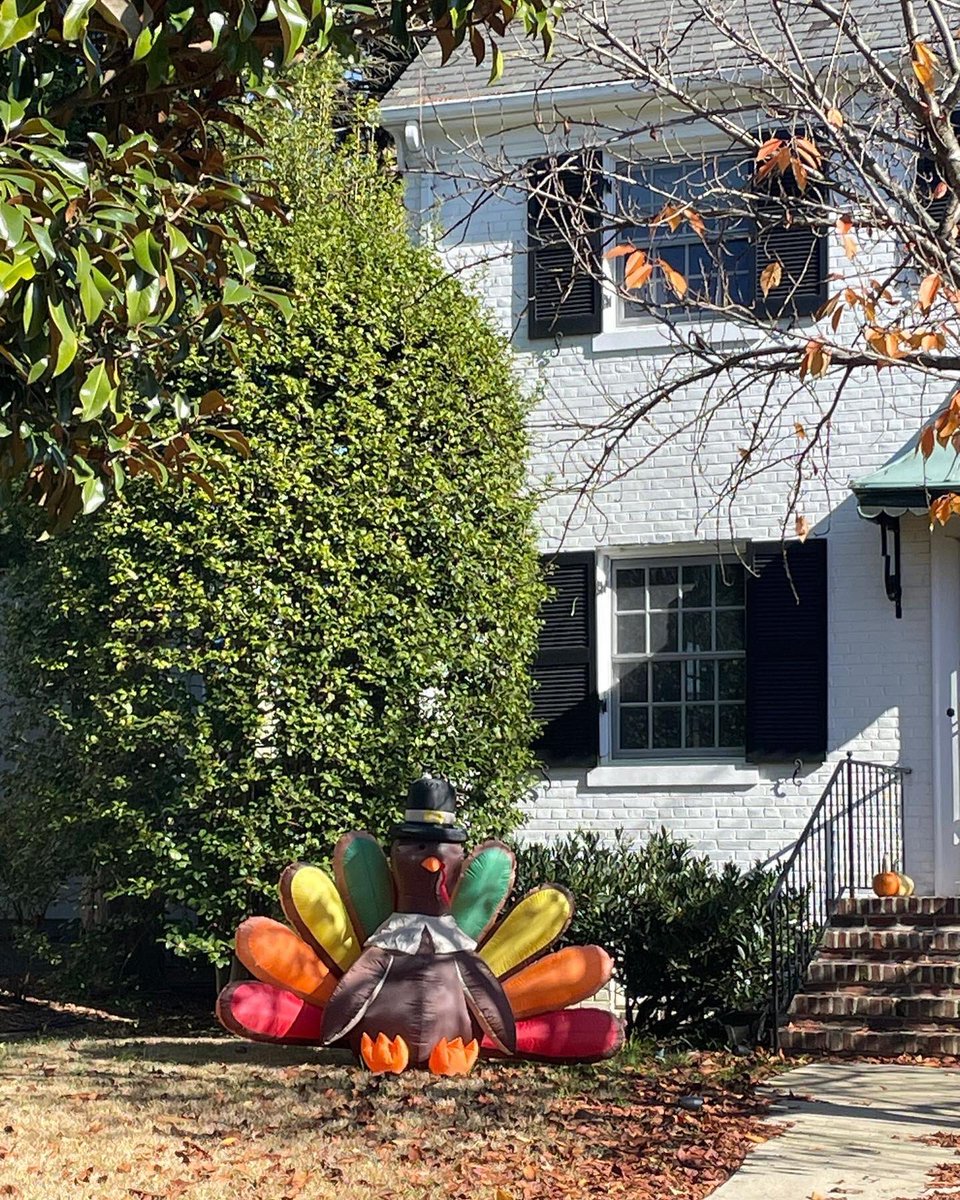 Lucy Ferguson tweet media