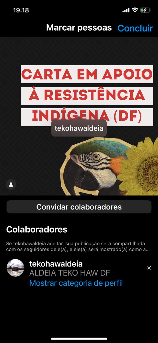 Resistindigena's tweet photo. Hoje foi publicada uma carta com assinatura de diversos movimentos sociais em apoio a Tekohaw - Guajajara e demais Etnias indígenas do DF. Agradecemos o apoio de todos os colaboradores! Na íntegra a carta via instagram. link: https://t.co/Gq5eQJ7hnD https://t.co/amwHzGJ3SO