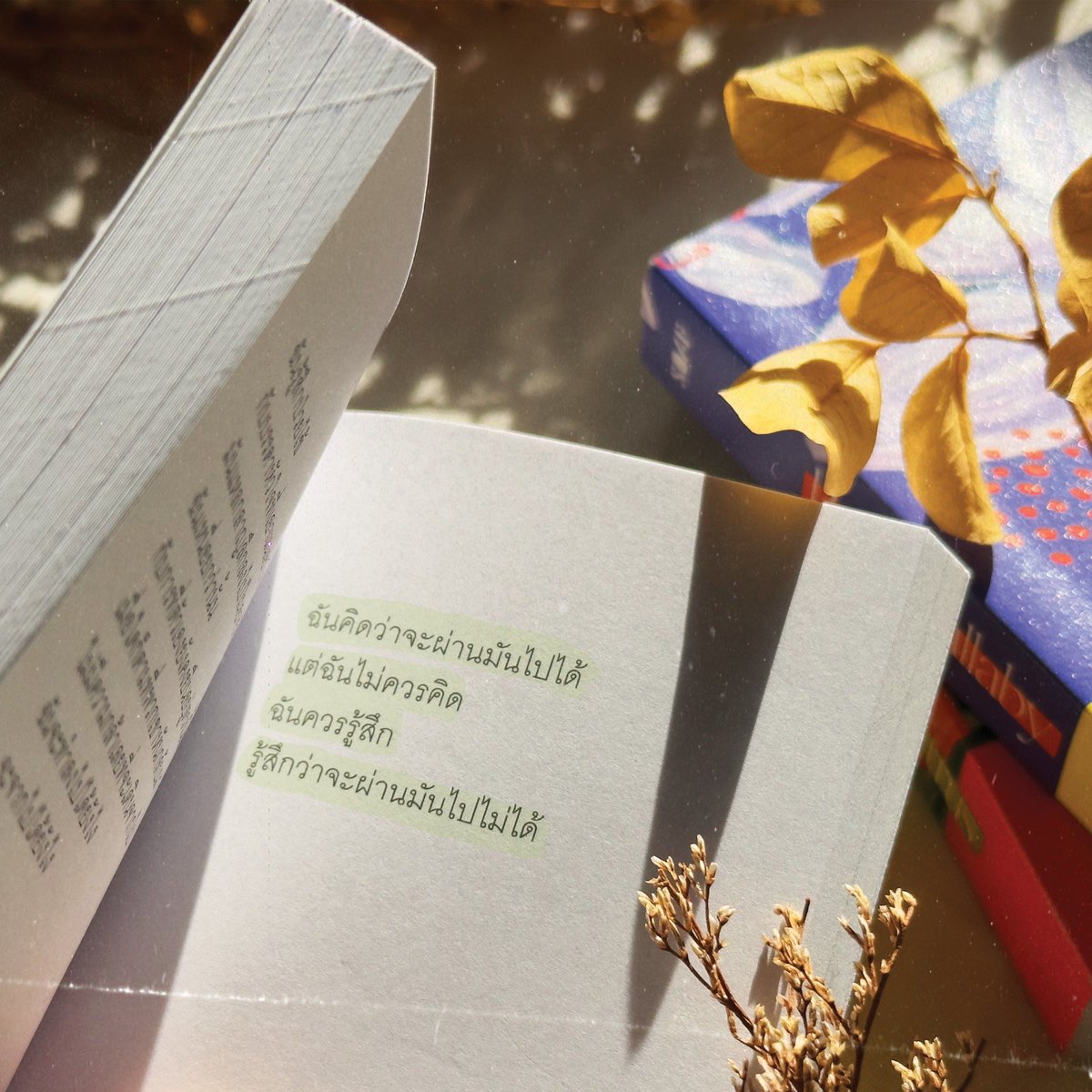 PSpublish's tweet photo. ❝ ฉันคิดว่าจะผ่านมันไปได้
แต่ฉันไม่ควรคิด
ฉันควรรู้สึก
รู้สึกว่าจะผ่านมันไปไม่ได้ ❞
.
— นิชาภาพ, หนังสือ Bittersweet Home https://t.co/z8CAhhdizT