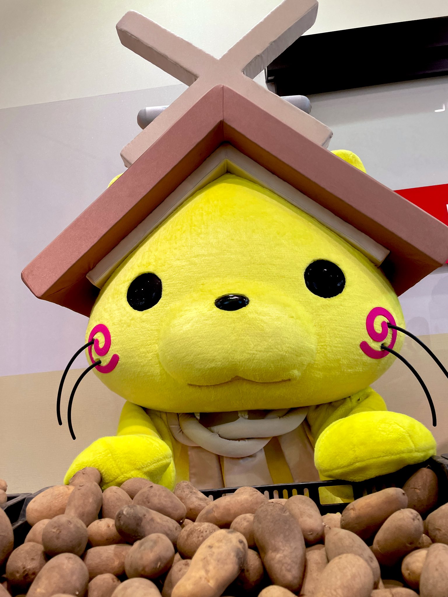 まとめ買い　じゃじゃがが Amazon.co.jp: (ゴージャク) Go-Jak スーパースリック 4,500