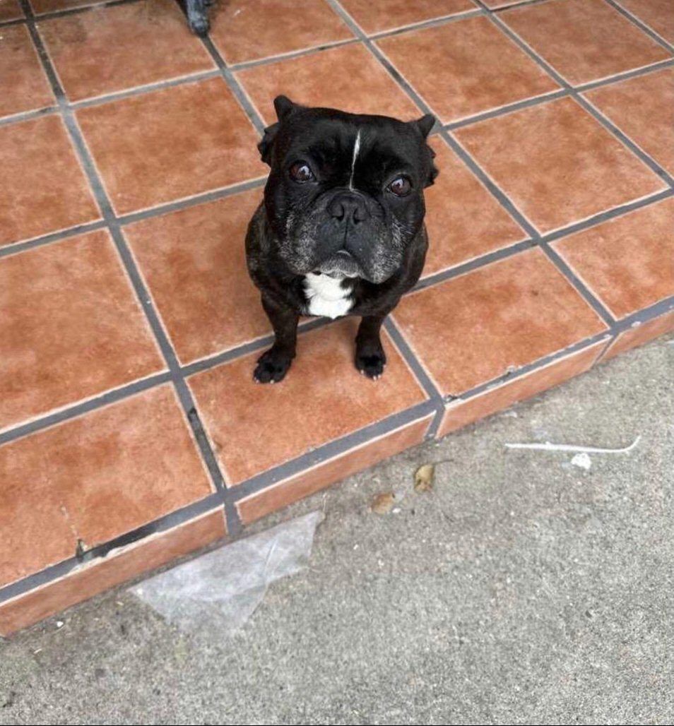 NicholasNunez97's tweet photo. He out there somewhere! Plz any info or details you know or if anyone you know who's seen him lmk! #RewardWhenFound !! https://t.co/D1moi6M3FU