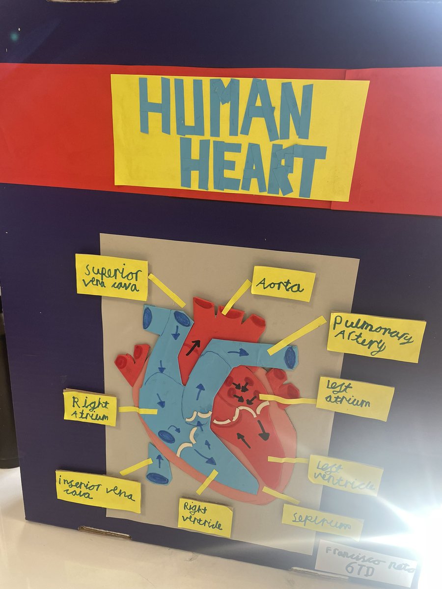 George Stokes- Head of Primary tweet media