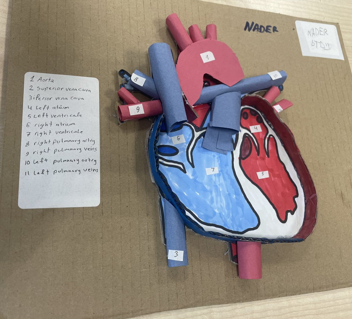 George Stokes- Head of Primary tweet media