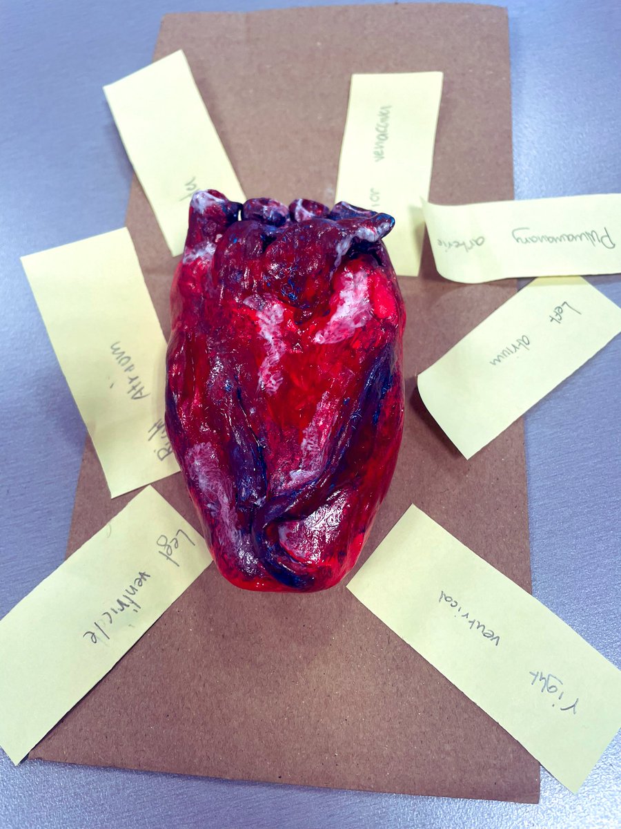 George Stokes- Head of Primary tweet media