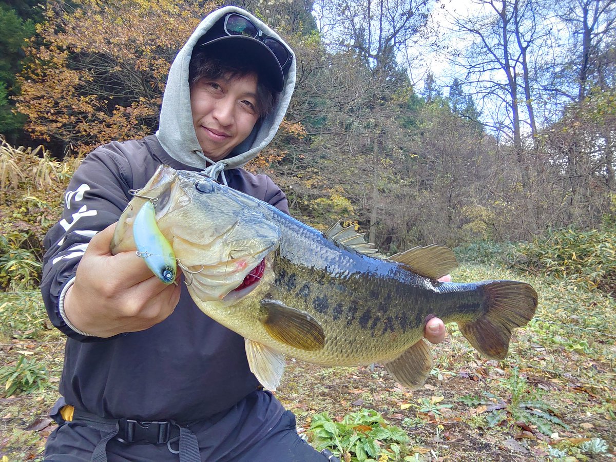 day_ero's tweet image. 本日はラスト桧原湖予定でしたが悪天候により中止だったので朝だけ溜池へ。例年よりまだ水に色がついてるので当然DIVISEVIBで巻き巻き！
#DIVISER
#DEELAKEORDER
#DIVISEVIBRATION70
#レイドジャパン
#raidjapan
#グラディエーターアンチ