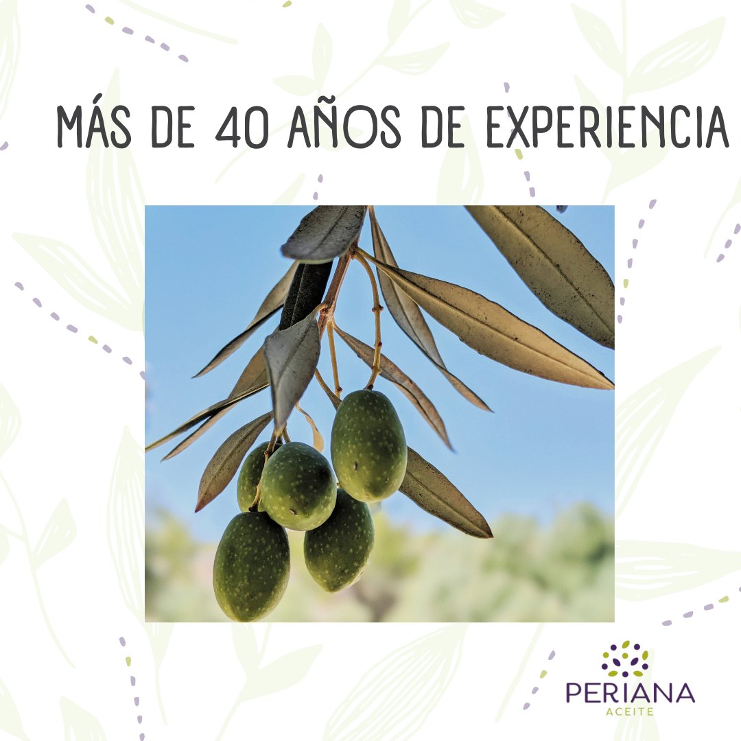 🌿 Con 40 años de experiencia, Aceite Periana se erige como el referente indiscutible de los Aceites de Oliva Virgen Extra malagueños. Descubre la tradición en cada gota
