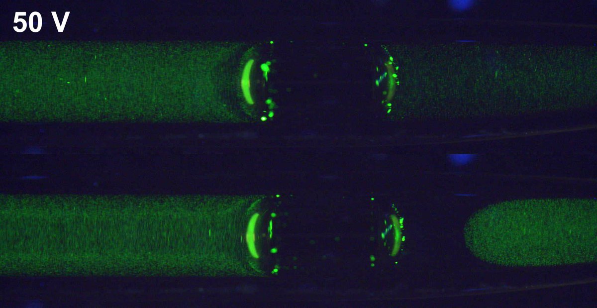 The next <a href="/FAST_Orsay/">Laboratoire FAST</a> / <a href="/LisnLab/">LISN</a> seminar, entitled "Soft nanofluidics", will be given by Anne-Laure Biance from <a href="/iLM_RECHERCHE/">iLM, Recherche</a> on Thursday, November 30 at 2pm (seminar room C.120, Bât. 530). More  info: semmeca.lisn.upsaclay.fr/affiche/res23_…