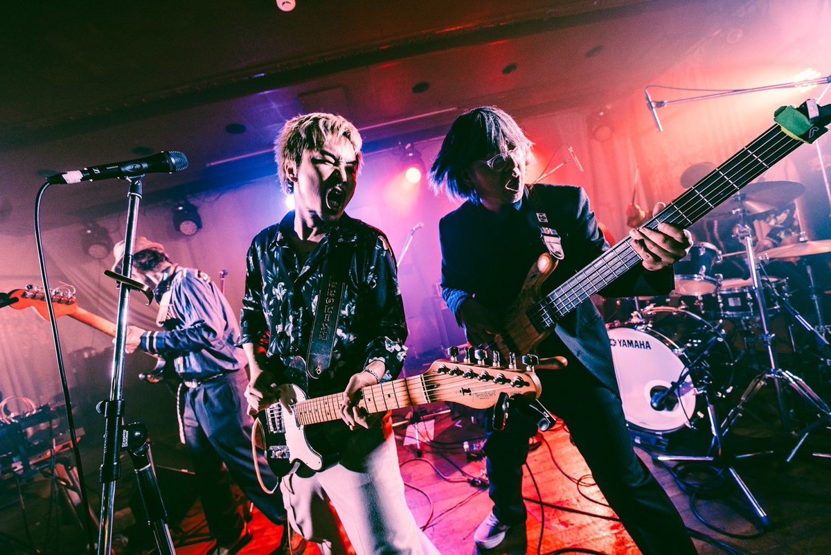 row_hoo's tweet image. どんどんステージが大きくなる

どれくらいのスピードかと言うと

シールドの長さが足りない事に

LIVE中に氣付くぐらい

昨日は暴れすぎて

3回ぐらい線抜けちまったぜ👅
#NEKOSOGI
📸 #Keisuke🌺